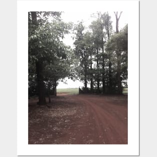 Dark photograph of nature with trees Posters and Art